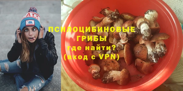 винт Абаза