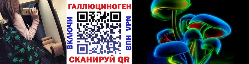 ОМГ ОМГ как войти  Каменка  Галлюциногенные грибы Psilocybe 